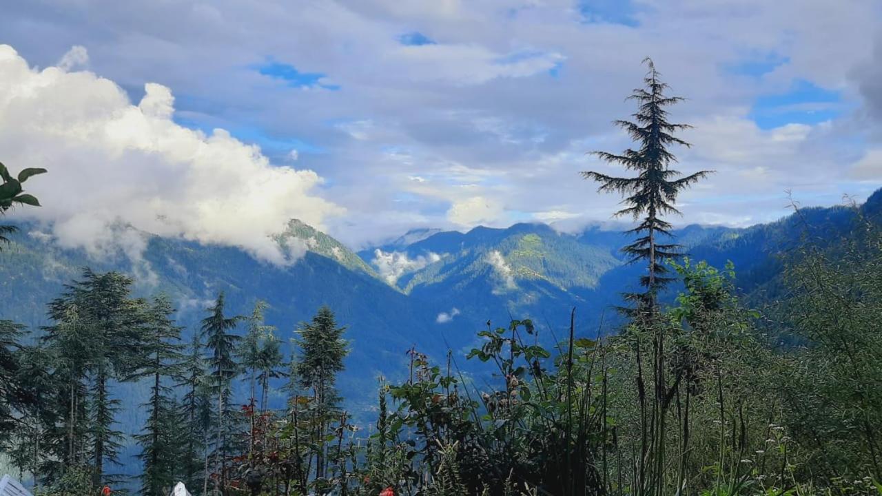 Ishan Log Huts-A Boutique Home Stay Banjar Екстер'єр фото