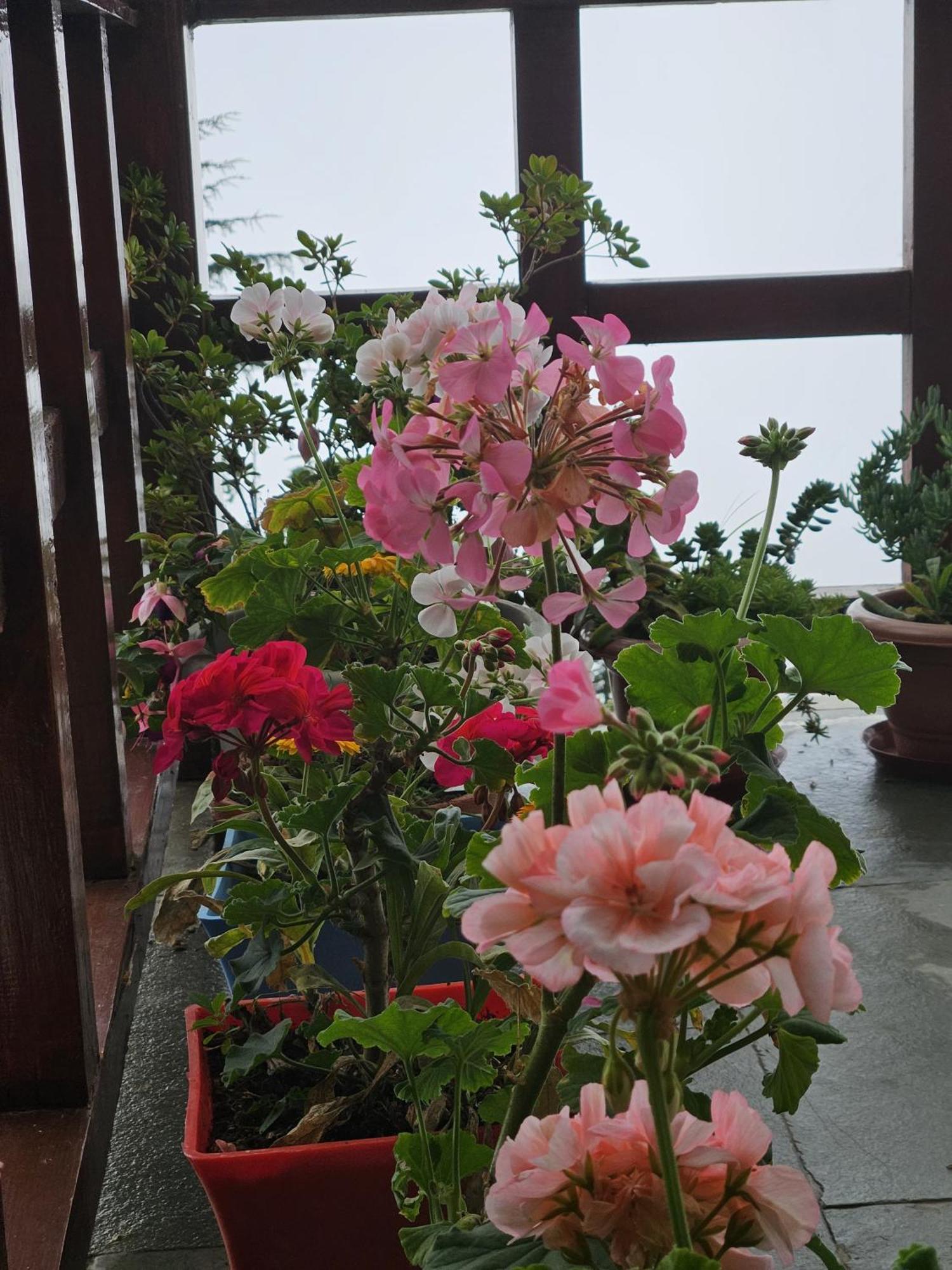 Ishan Log Huts-A Boutique Home Stay Banjar Екстер'єр фото
